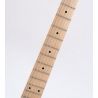 Washburn R5CB-U Wing Series Raven ’78 Cherry Burst Guitarra Eléctrica