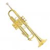 Trompeta Bach Stradivarius LR-180 43 Lacada