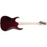 Ibanez GRGR221PA-AQB Aqua Burst