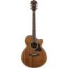 Compra ibanez ae254 nt natural high gloss al mejor precio