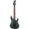 Compra ibanez kiko10bp-tgb - transparent gray burst - c/estuche al mejor precio