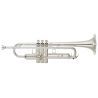 Compra YAMAHA YTR-8310ZS 03 custom xeno al mejor precio