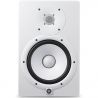 Compra yamaha hs8iw al mejor precio
