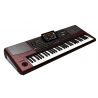 Compra Korg PA1000 al mejor precio
