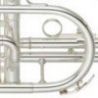 Compra yamaha ycr 2310 SIII corneta al mejor precio