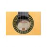 Compra ALHAMBRA 5F GUITARRA FLAMENCA CON GOLPEADOR al mejor precio