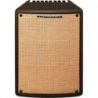 Comprar Ibanez T80II - combo para guitarra acústica - 80W - 1 x