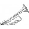 Compra YAMAHA YTR-8310ZS 03 custom xeno al mejor precio