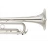 Compra YAMAHA YTR-8310ZS 03 custom xeno al mejor precio