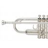 Compra YAMAHA YTR-8310ZS 03 custom xeno al mejor precio