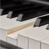 Compra Yamaha P-515 BLACK al mejor precio