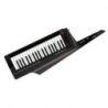 Compra keytar Korg RK-100S 2 BK Negro al mejor precio