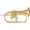 Comprar SML Paris BU600 Fliscorno al mejor precio