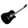 Oferta guitarra acustica Oqan QGA-21