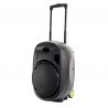 Comprar Ibiza PORT15VHF-MKII Altavoz Portatil