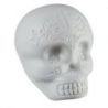 Comprar LP Shaker Sugar Skull Brillo en la oscuridad al mejor
