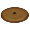 Head Conga LP Aspire LPA640C