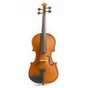 Comprar Violín Stentor Conservatoire 3/4 al mejor precio