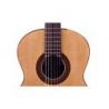 Comprar Jose Torres JTC-30 al mejor precio