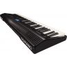 Oferta Roland GO-61P con descuento