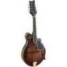 Comprar Ortega RMFE100-AVO Electrificada F-Type Antique Violin