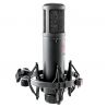 Comprar sE Electronics SE2200 Microfono Condensador con descuento