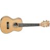 Compra TANGLEWOOD TWT11 Ukelele Concierto al mejor precio