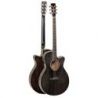 Tanglewood TW4 BS Mini Jumbo