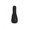 Comprar Alvarez RU90CP Pack Ukelele al mejor precio