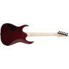 Comprar Ibanez GRGR221PA Aqua Burst con descuento