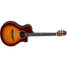 Yamaha NTX3 BS Brown Sunburst