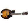 Tanglewood TWMFV SE Mandolina