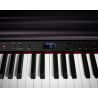 Oferta Artesia DP10-E Negro al mejor precio