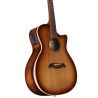 Comprar Alvarez AGA95CEARSHB Artist Elite al mejor precio