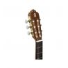 Alhambra 5P Fishman E8
