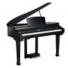 KURZWEIL Kag-100 Negro Pulido con descuento