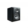 KURZWEIL KS-50a Monitor Autoamplificado