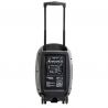 Comprar Ibiza PORT15UHF-MKII Altavoz Portatil