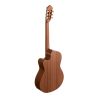 Paco Castillo 221CCE Cutaway