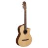 Paco Castillo 221CCE Cutaway