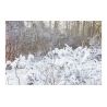 Comprar Beamz Snow5000 Maquina De Nieve De Alto Volumen al