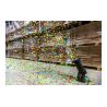 Comprar Beamz CC1200 Lanzador De Confetti al mejor precio