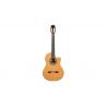 Comprar Jose Torres JTC-40Ce al mejor precio