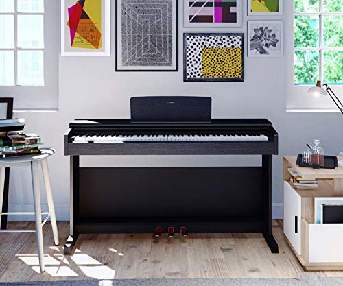 granero Nathaniel Ward ellos Elige tu pianos digital para nivel principiante 🎹 Musisol