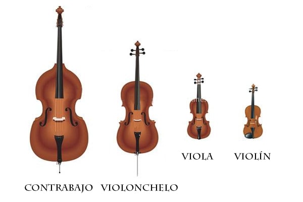 Instrumentos de cuerda frotada, Violín, Violonchelo, Viola, Contrabajo,