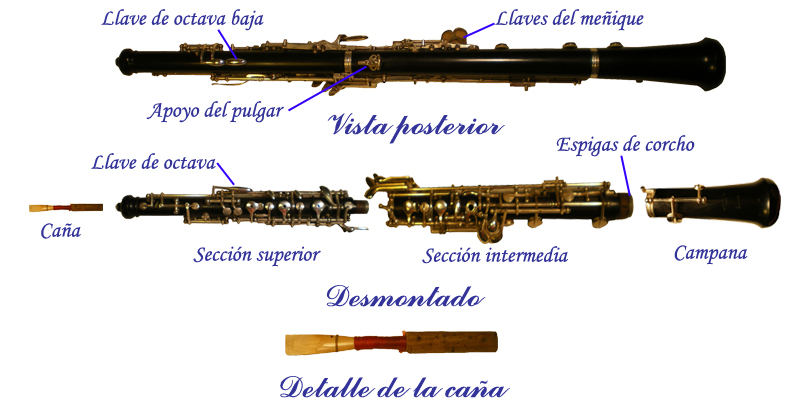 Partes de un oboe en tu tienda online musisol