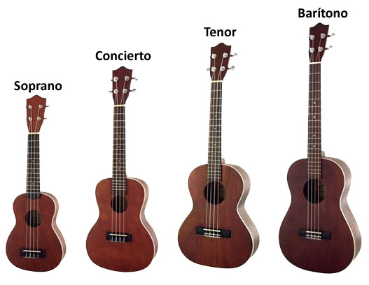 preposición político Obediencia Toda la información sobre el UKELELE en nuestra guía 🪕